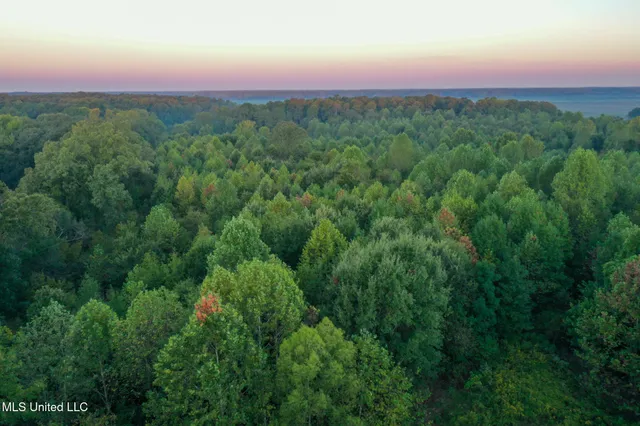 $869,000 | Davis Lane, Hernando, MS 38632