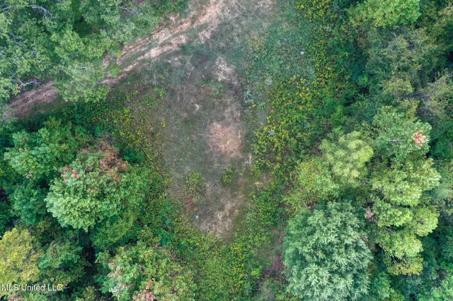 $869,000 | Davis Lane, Hernando, MS 38632