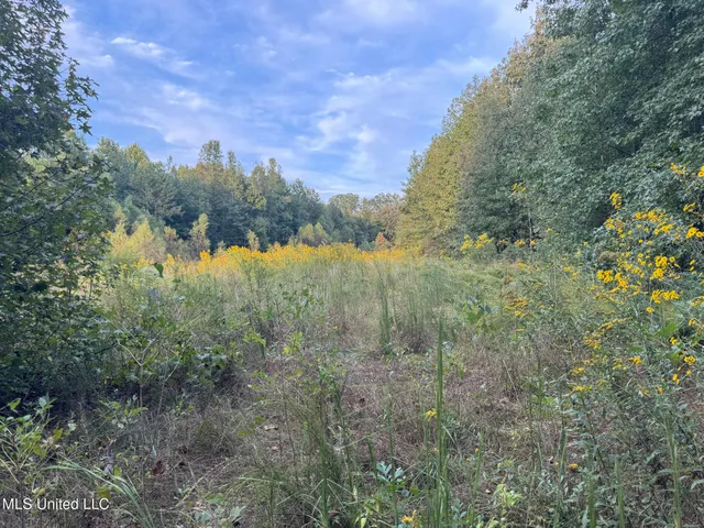 $869,000 | Davis Lane, Hernando, MS 38632