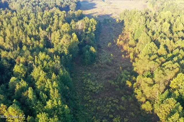 $869,000 | Davis Lane, Hernando, MS 38632