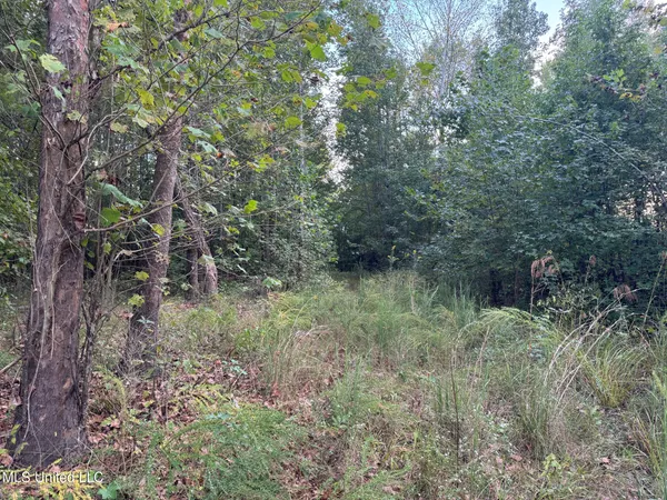 $869,000 | Davis Lane, Hernando, MS 38632
