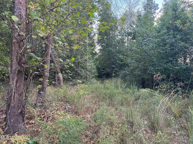 $869,000 | Davis Lane, Hernando, MS 38632