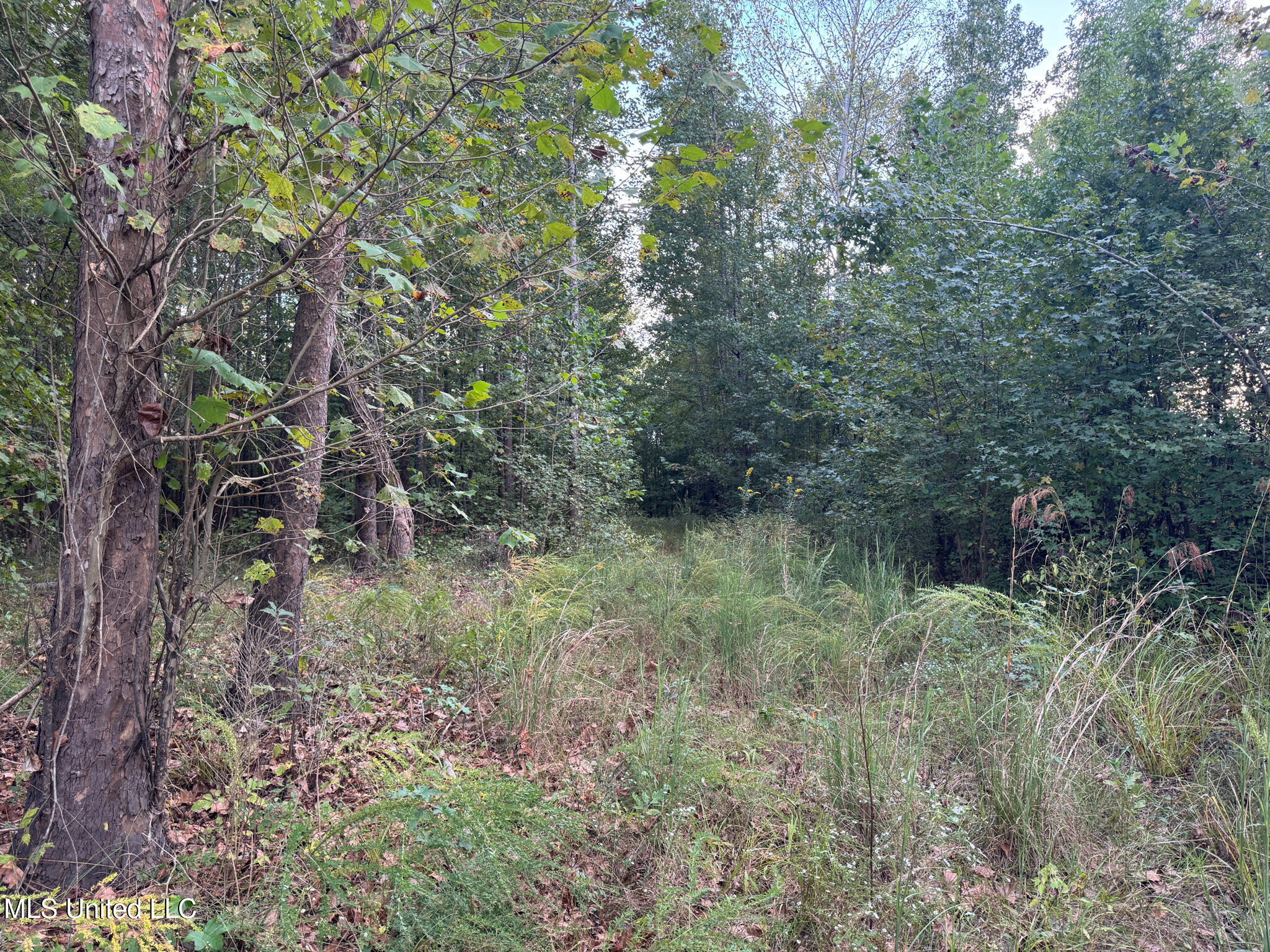 Davis Lane Hernando, MS 38632 - Photo 20 of 43 MLS-DeSoto 329 Prewett (Thompson) -20