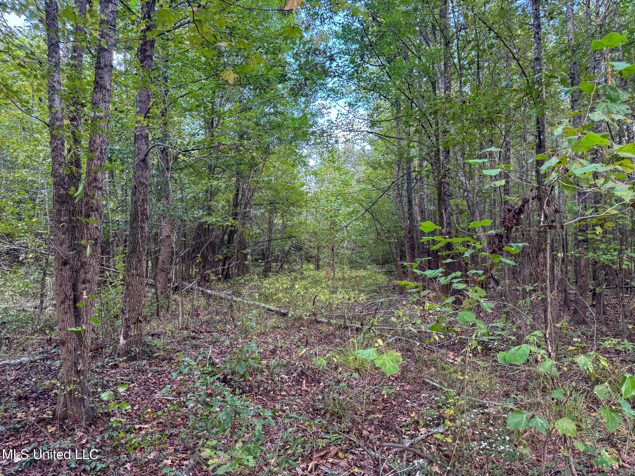 Davis Lane Hernando, MS 38632 - Photo 21 of 43 MLS-DeSoto 329 Prewett (Thompson) -21