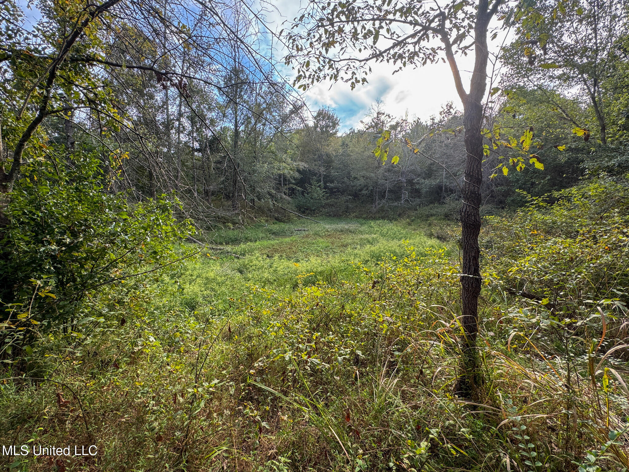 Davis Lane Hernando, MS 38632 - Photo 27 of 43 MLS-DeSoto 329 Prewett (Thompson) -27
