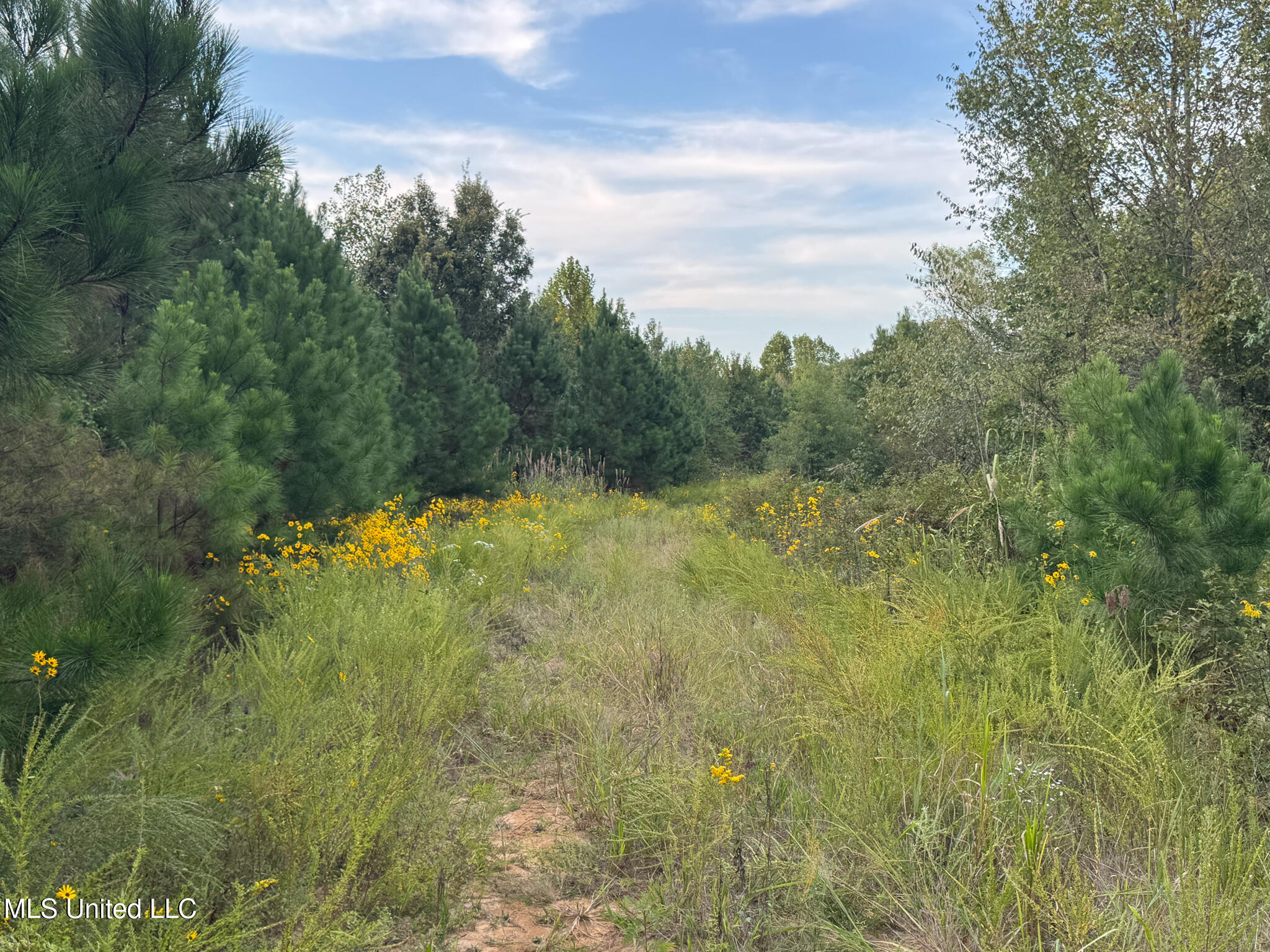 Davis Lane Hernando, MS 38632 - Photo 28 of 43 MLS-DeSoto 329 Prewett (Thompson) -28