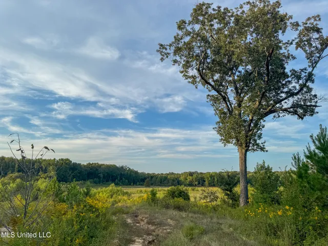 $869,000 | Davis Lane, Hernando, MS 38632