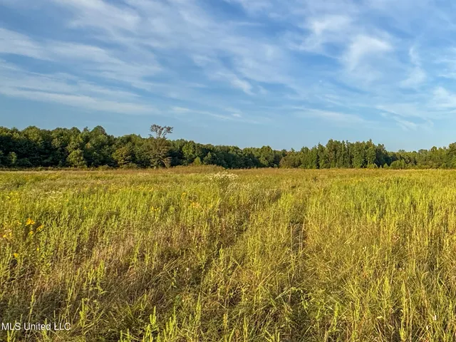 $869,000 | Davis Lane, Hernando, MS 38632