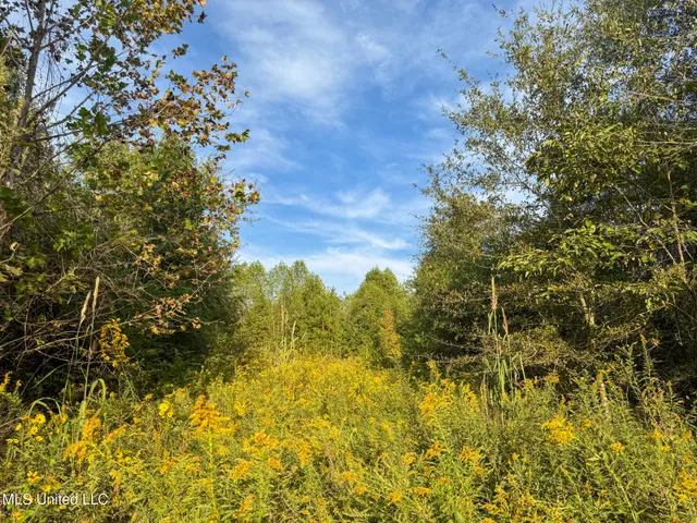 $869,000 | Davis Lane, Hernando, MS 38632