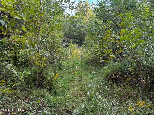 $869,000 | Davis Lane, Hernando, MS 38632
