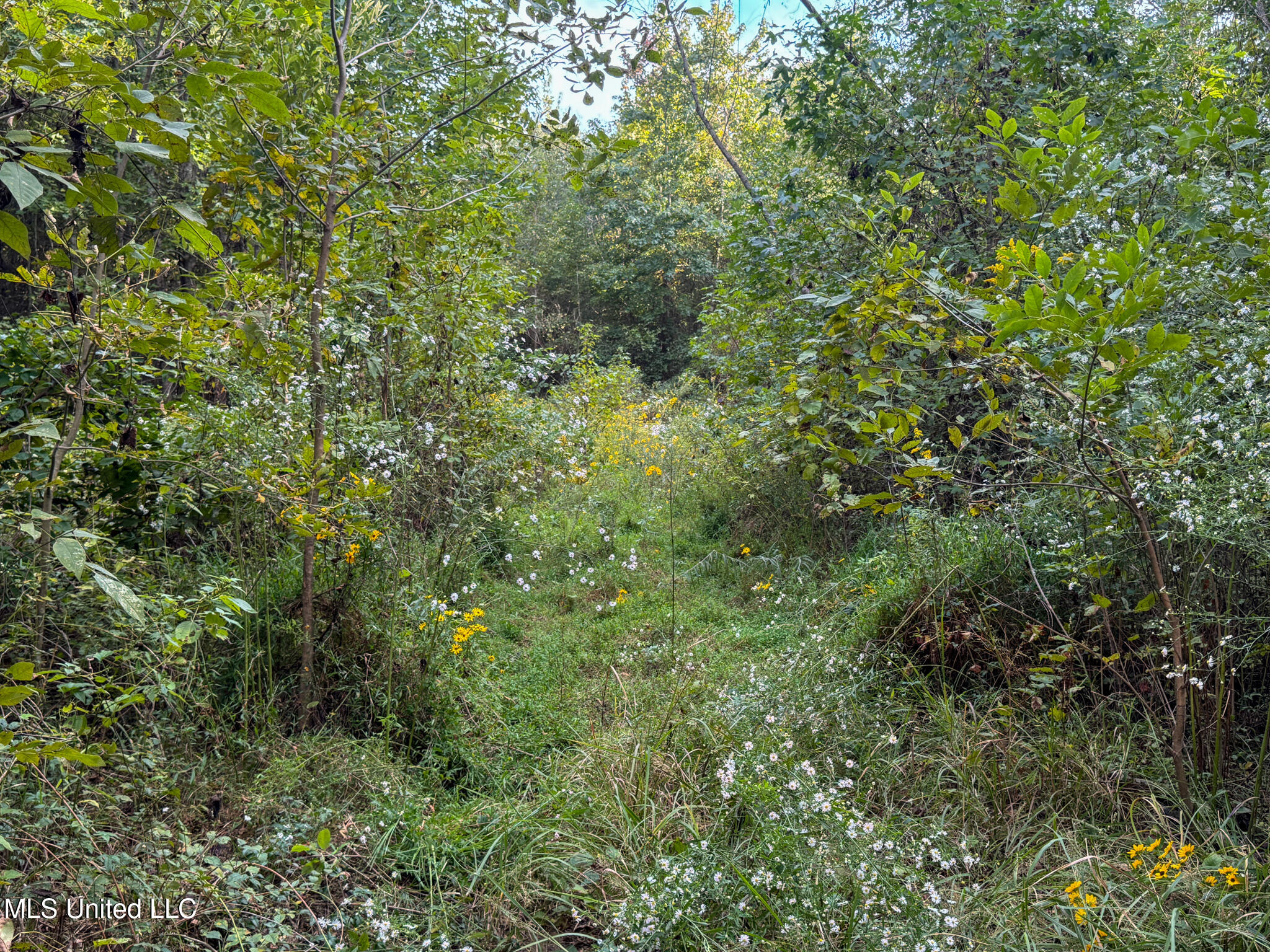 Davis Lane Hernando, MS 38632 - Photo 34 of 43 MLS-DeSoto 329 Prewett (Thompson) -34
