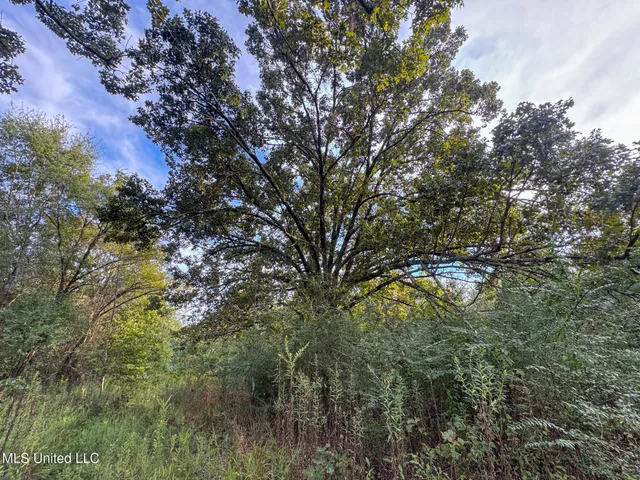 $869,000 | Davis Lane, Hernando, MS 38632