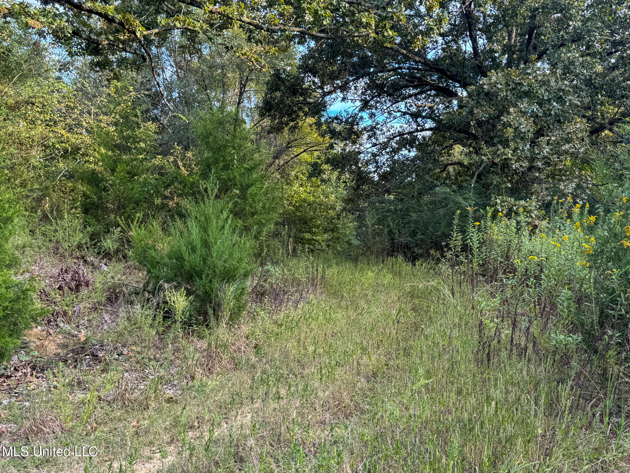 Davis Lane Hernando, MS 38632 - Photo 36 of 43 MLS-DeSoto 329 Prewett (Thompson) -36