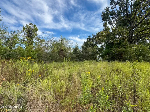 $869,000 | Davis Lane, Hernando, MS 38632