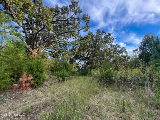 $869,000 | Davis Lane, Hernando, MS 38632