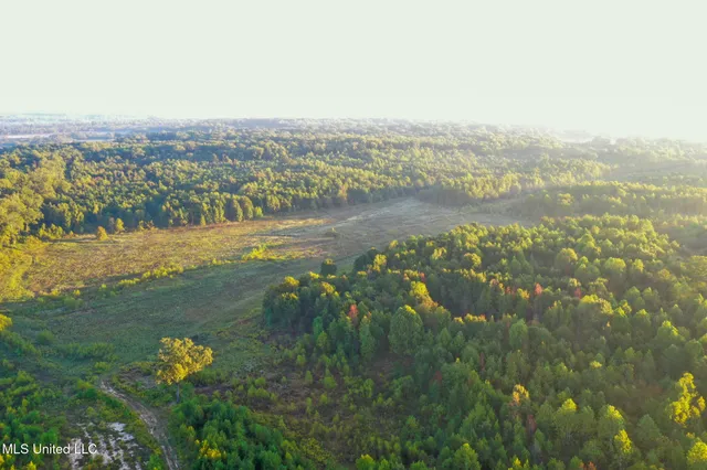 $869,000 | Davis Lane, Hernando, MS 38632