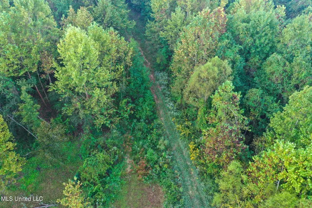 $869,000 | Davis Lane, Hernando, MS 38632