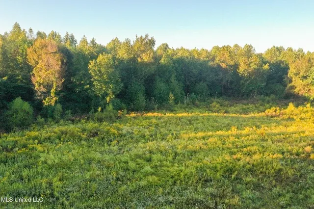 $869,000 | Davis Lane, Hernando, MS 38632