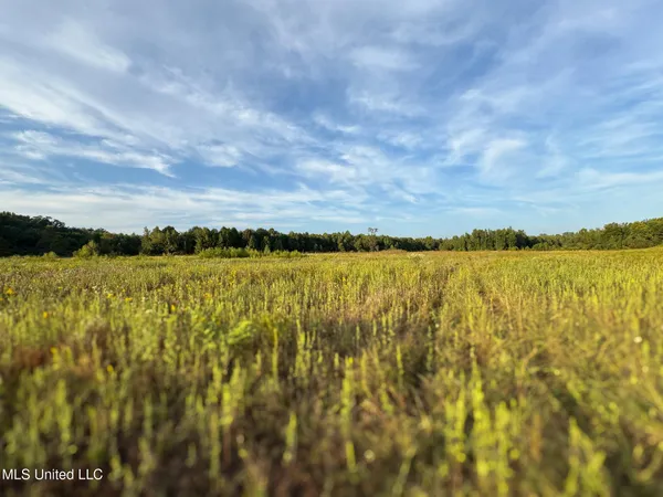 $869,000 | Davis Lane, Hernando, MS 38632