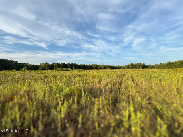 $869,000 | Davis Lane, Hernando, MS 38632