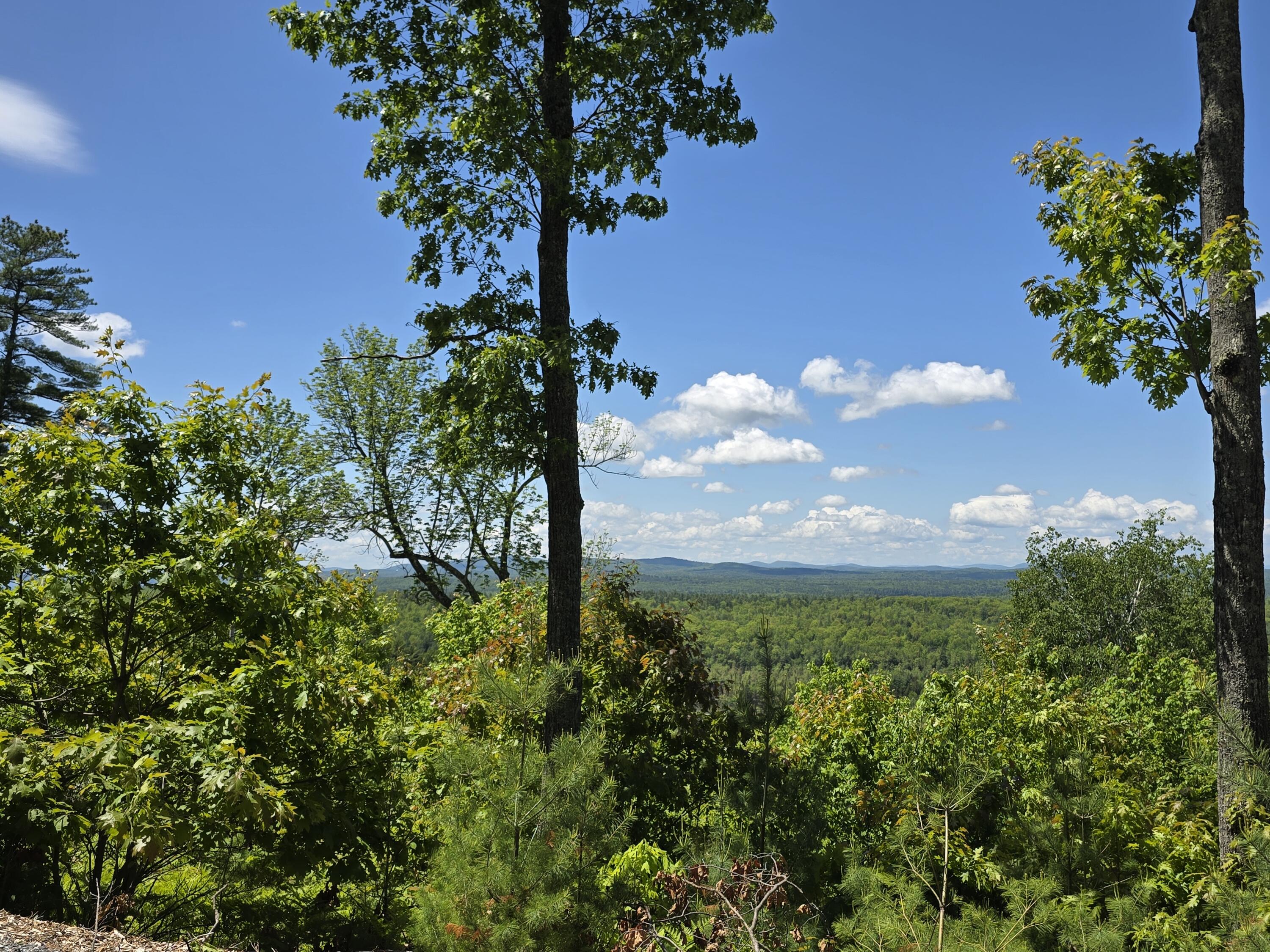Lot 55 Quaker Ridge Road Casco, ME 04015 - Photo 4 of 13 1000014378