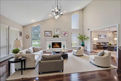 a living room with furniture a fireplace and a potted plant
