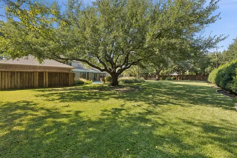 a view of a backyard with plants and large trees
