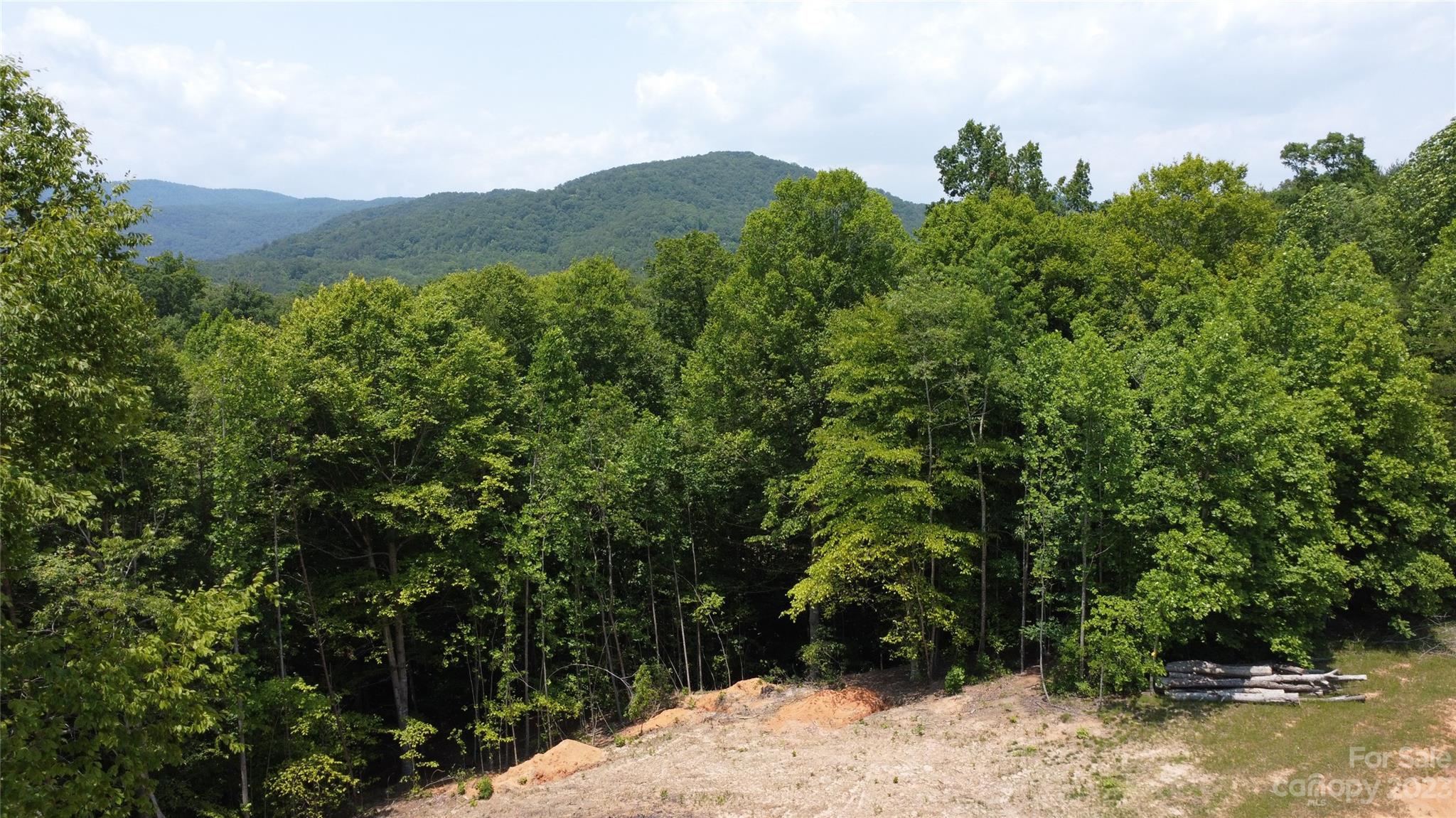 0 Ashe Bridge Road North, Unit 5A Marion, NC 28752 - Photo 3 of 21 Gallery Image 3