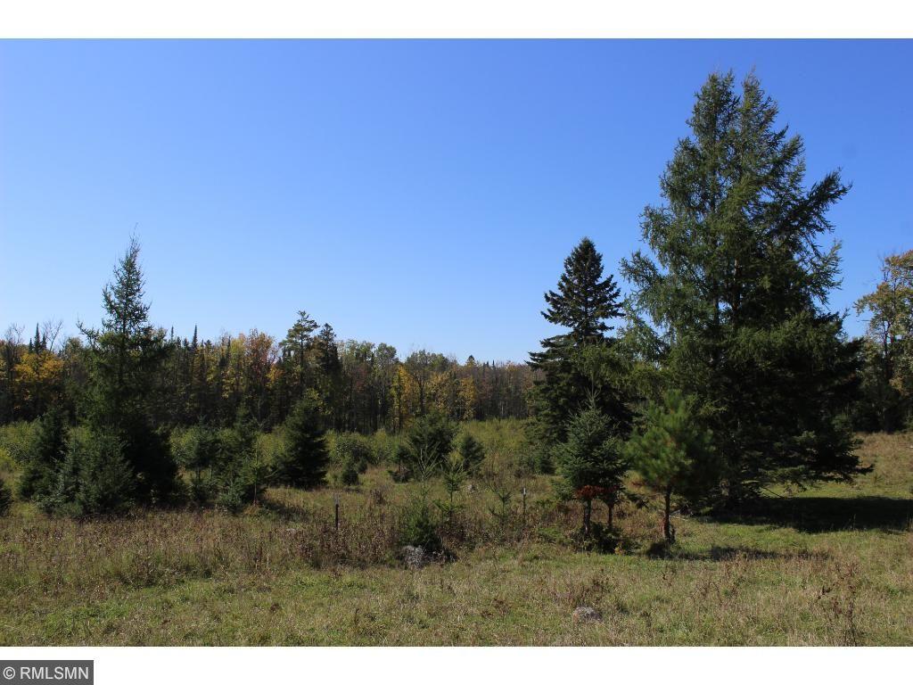 Xxx Depover Road Sandstone, MN 55072 - Photo 1 of 1 Gallery Image 1