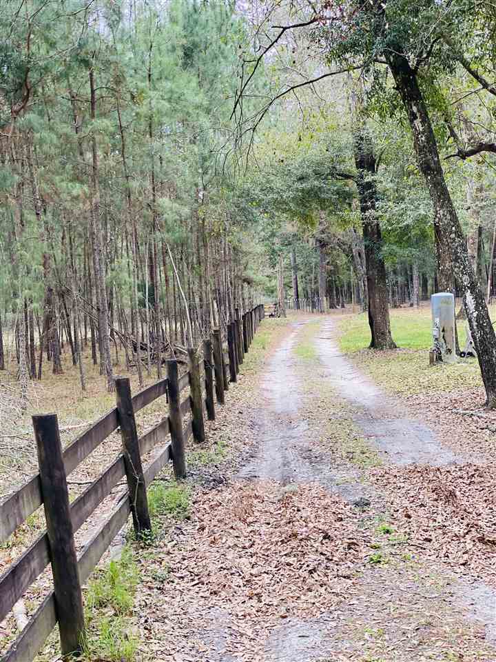 705 Northeast Oleander Road Mayo, FL 32066 - Photo 1 of 36 Gallery Image 1