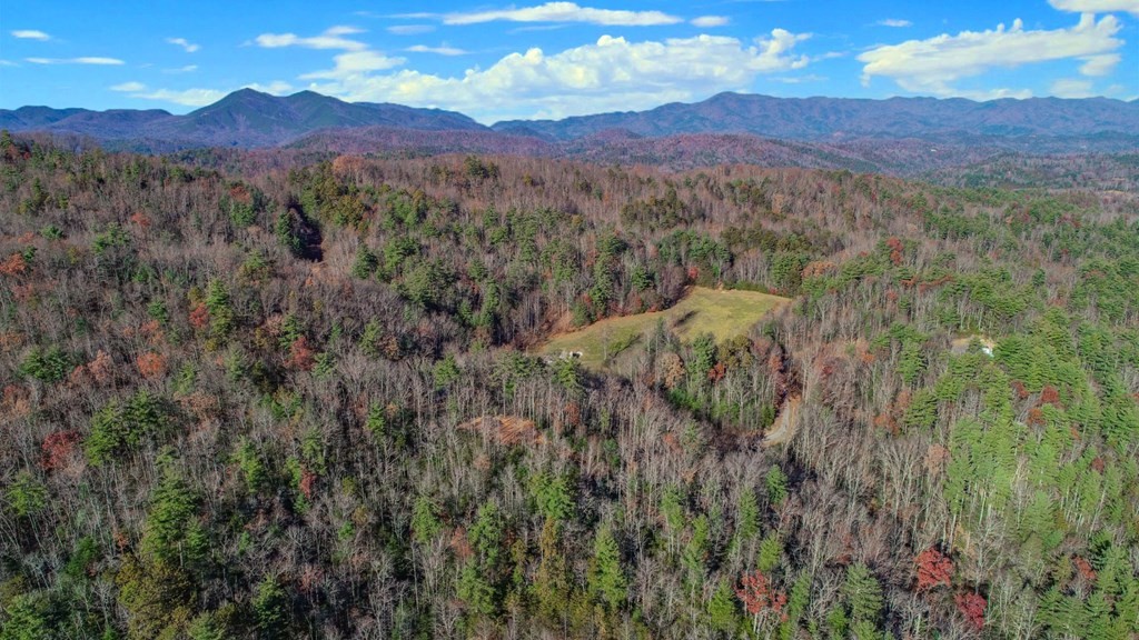 1301 Ridge Hollow Road Del Rio, TN 37727 - Photo 7 of 26 Gallery Image 7