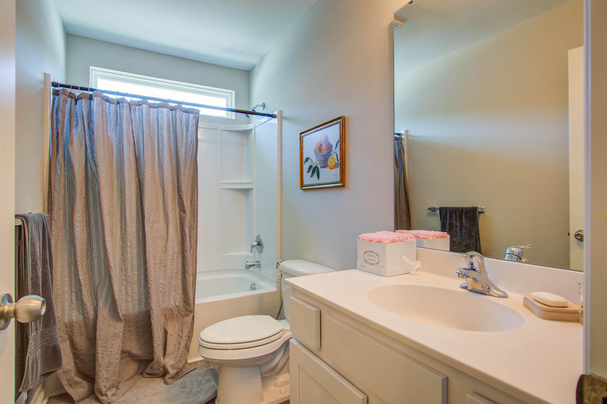 3762 Copahee Sound Drive Mount Pleasant, SC 29466 - Photo 27 of 45 3762 (25)
