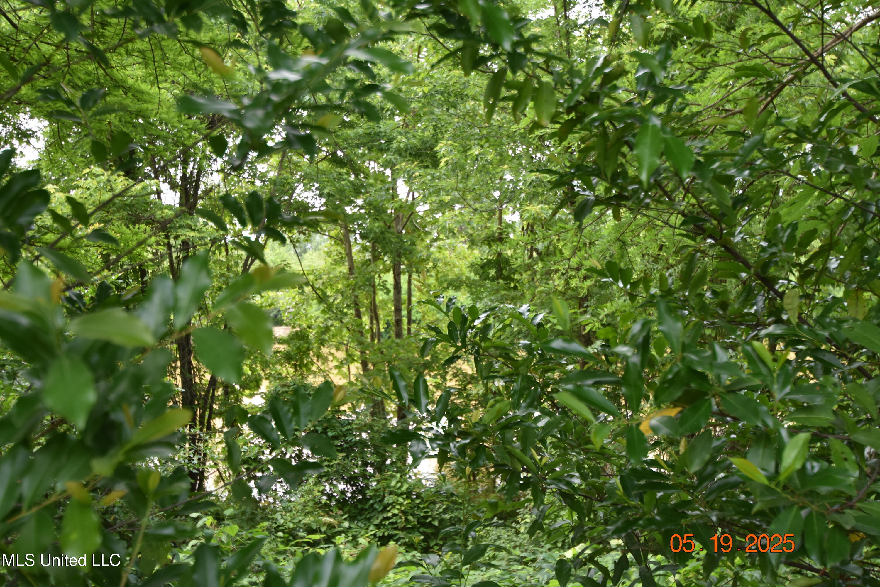 1303 River Road Greenwood, MS 38930 - Photo 30 of 36 DSC_1243