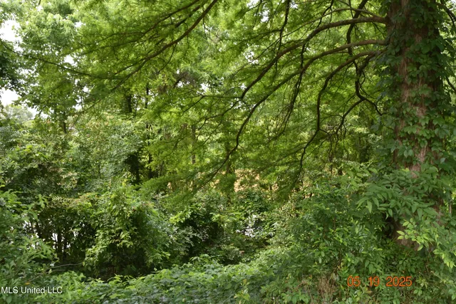 $175,000 | 1303 River Road, Greenwood, MS 38930