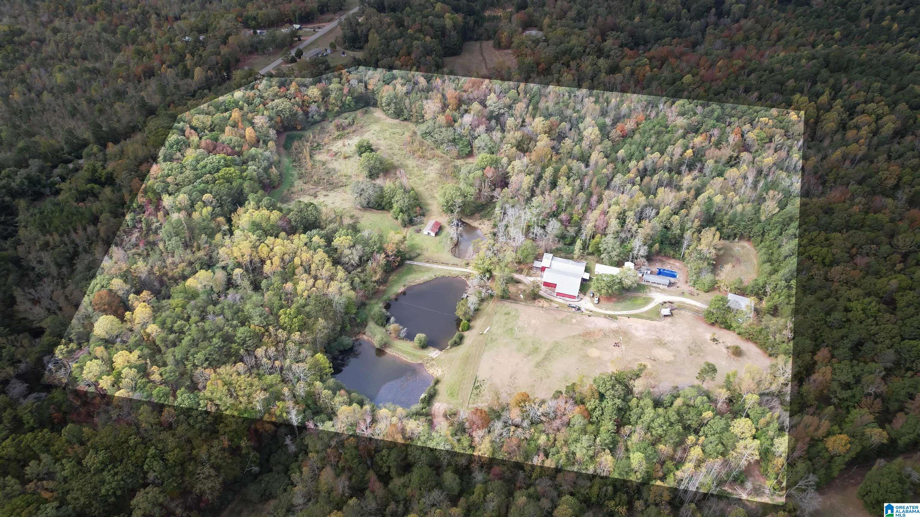 9406 County Road 51 Jemison, AL 35085 - Photo 51 of 58