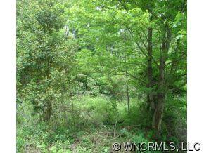 0 Cloud Nine Road Leicester, NC 28748 - Photo 1 of 6 Gallery Image 1