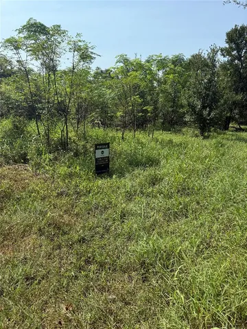 a view of a back yard