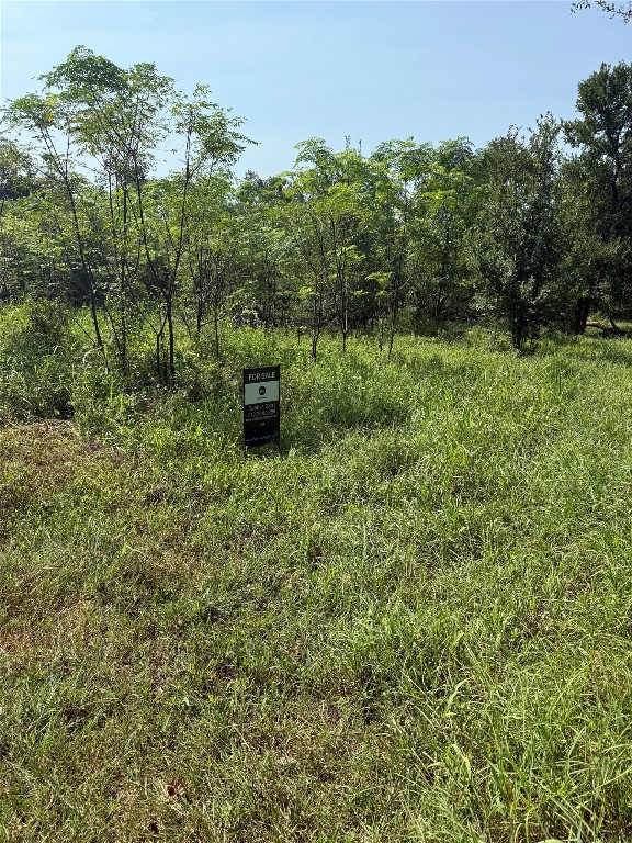 1005 Henderson Street Cameron, TX 76520 - Photo 3 of 5 a view of a back yard