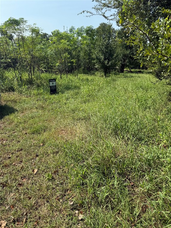 1005 Henderson Street Cameron, TX 76520 - Photo 5 of 5 a view of outdoor space and yard