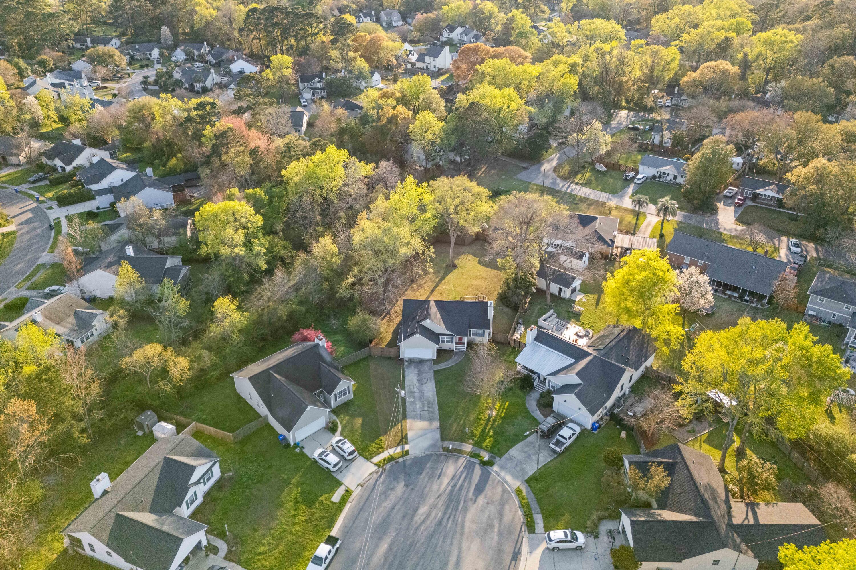 1099 Farmington Road Charleston, SC 29412 - Photo 31 of 34 Birds Eye View