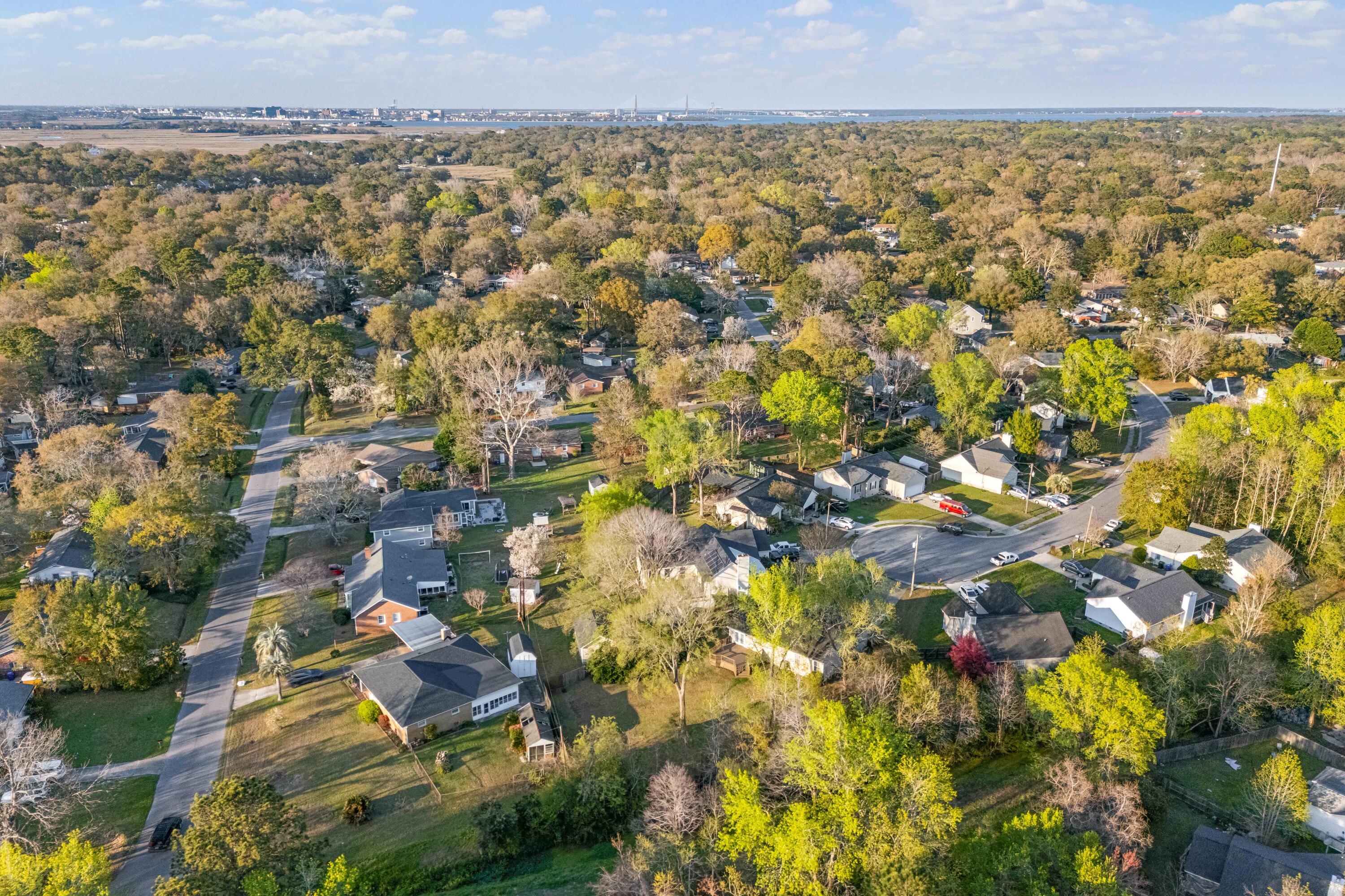 1099 Farmington Road Charleston, SC 29412 - Photo 32 of 34 Birds Eye view