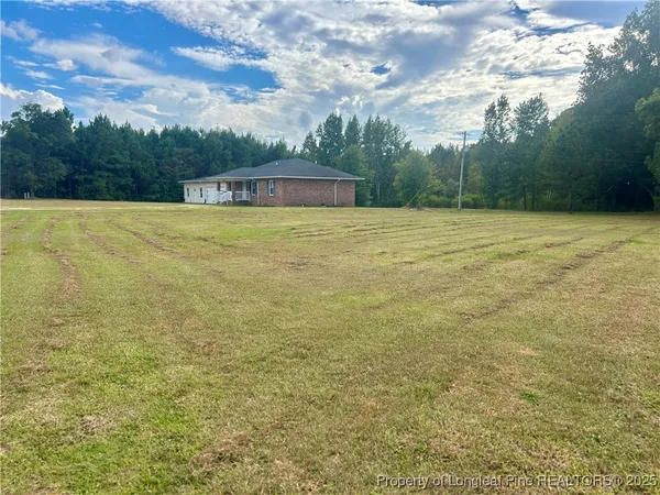 a view of a field with trees in the background