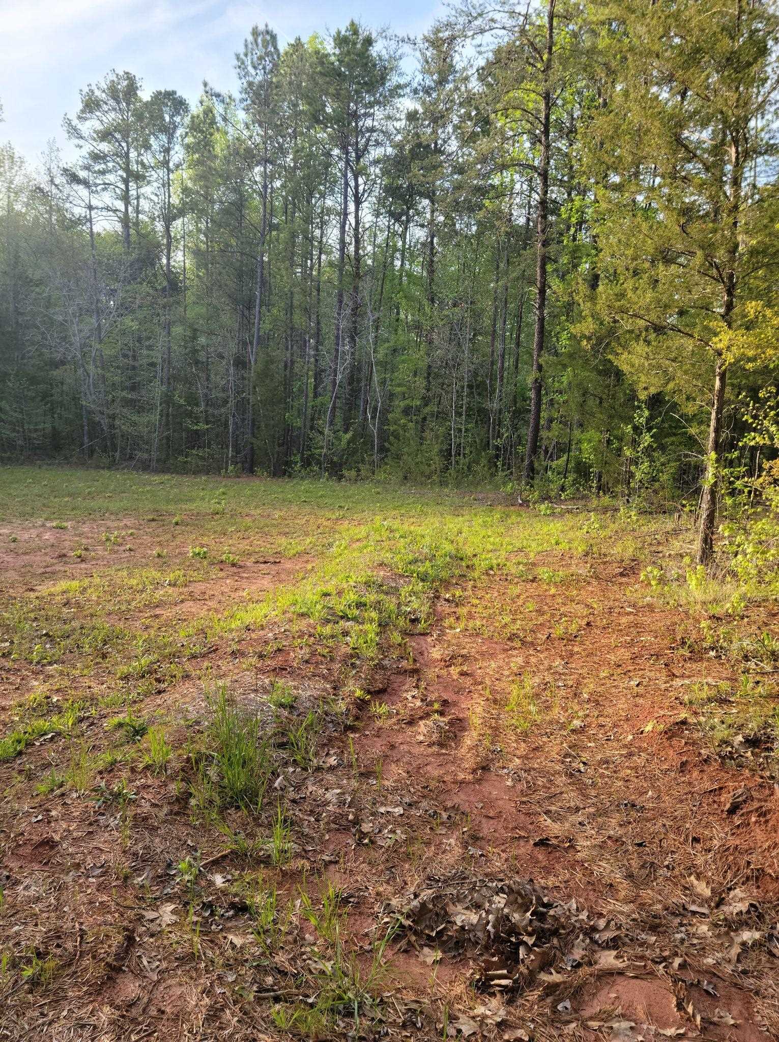 997 State Rd S-42-423 Enoree, SC 29335 - Photo 3 of 12