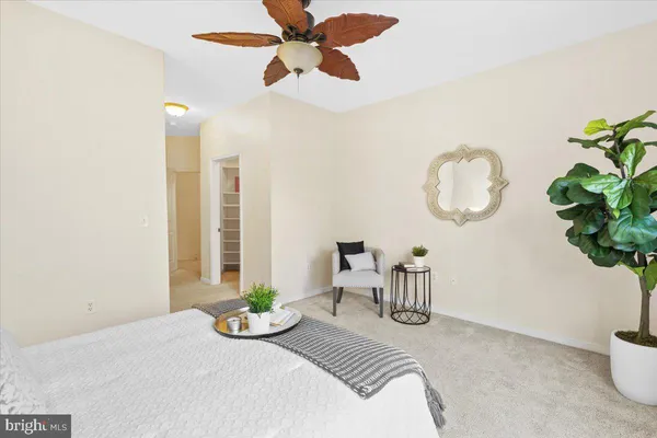 a living room with furniture and potted plant