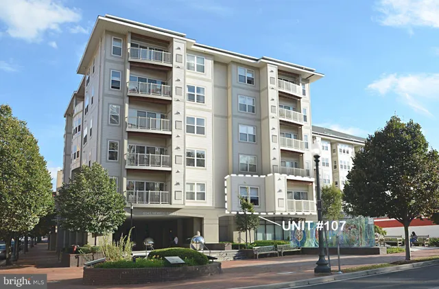 a living room with lots of gym equipment