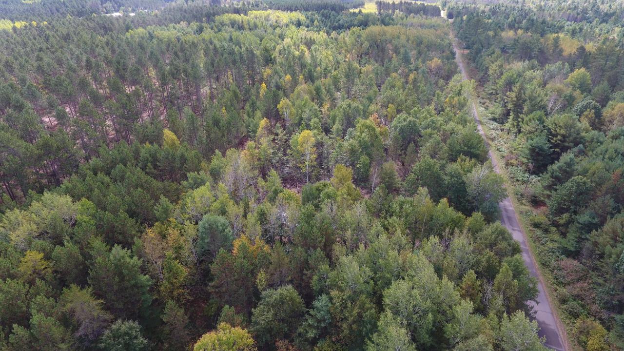 On On Pine Square Road, Unit 11 9 ACRES Tomahawk, WI 54487 - Photo 7 of 20 Gallery Image 7