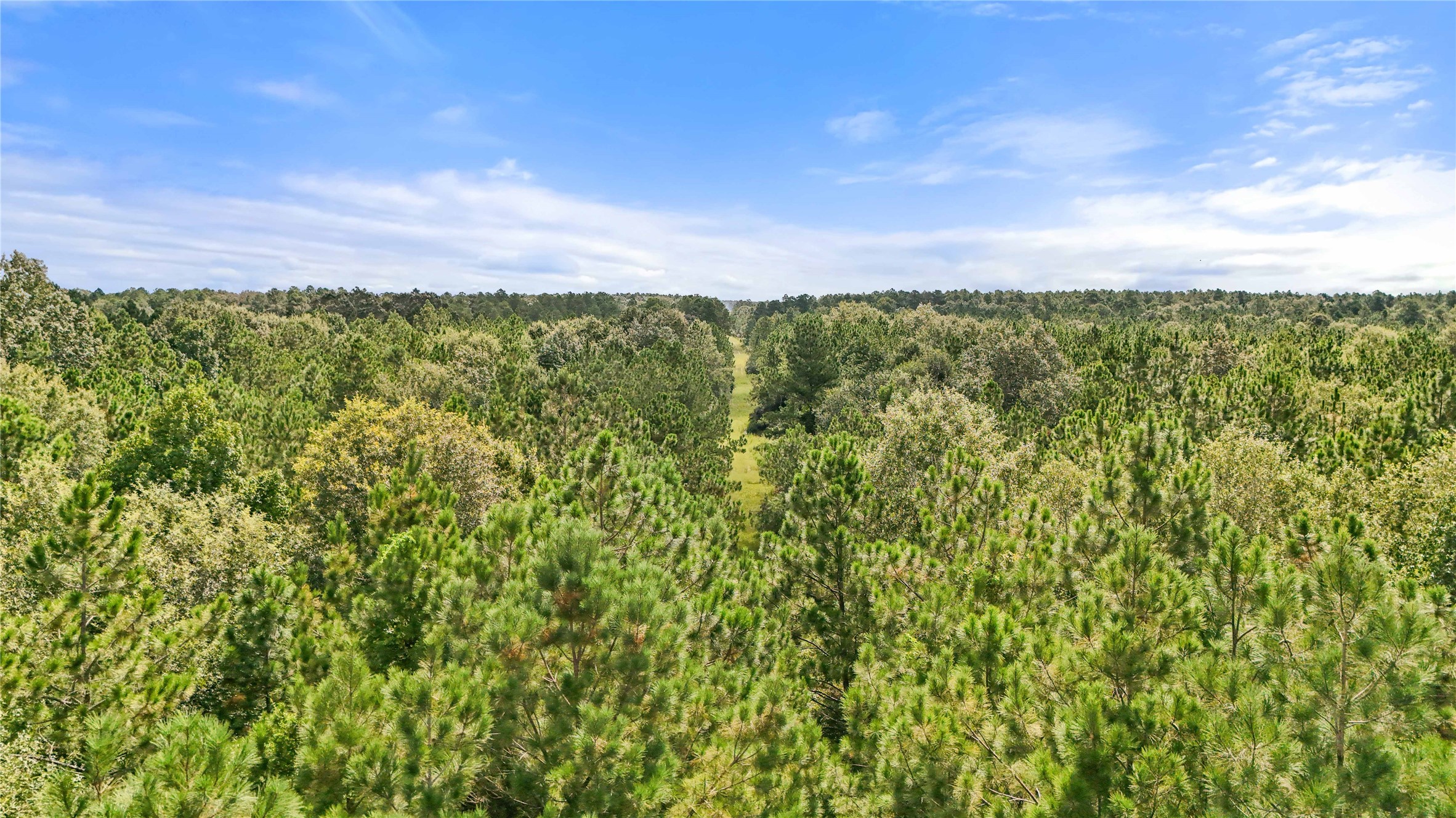9 Old Beaumont Road Sour Lake, TX 77659 - Photo 10 of 25 a view of a bunch of trees and bushes