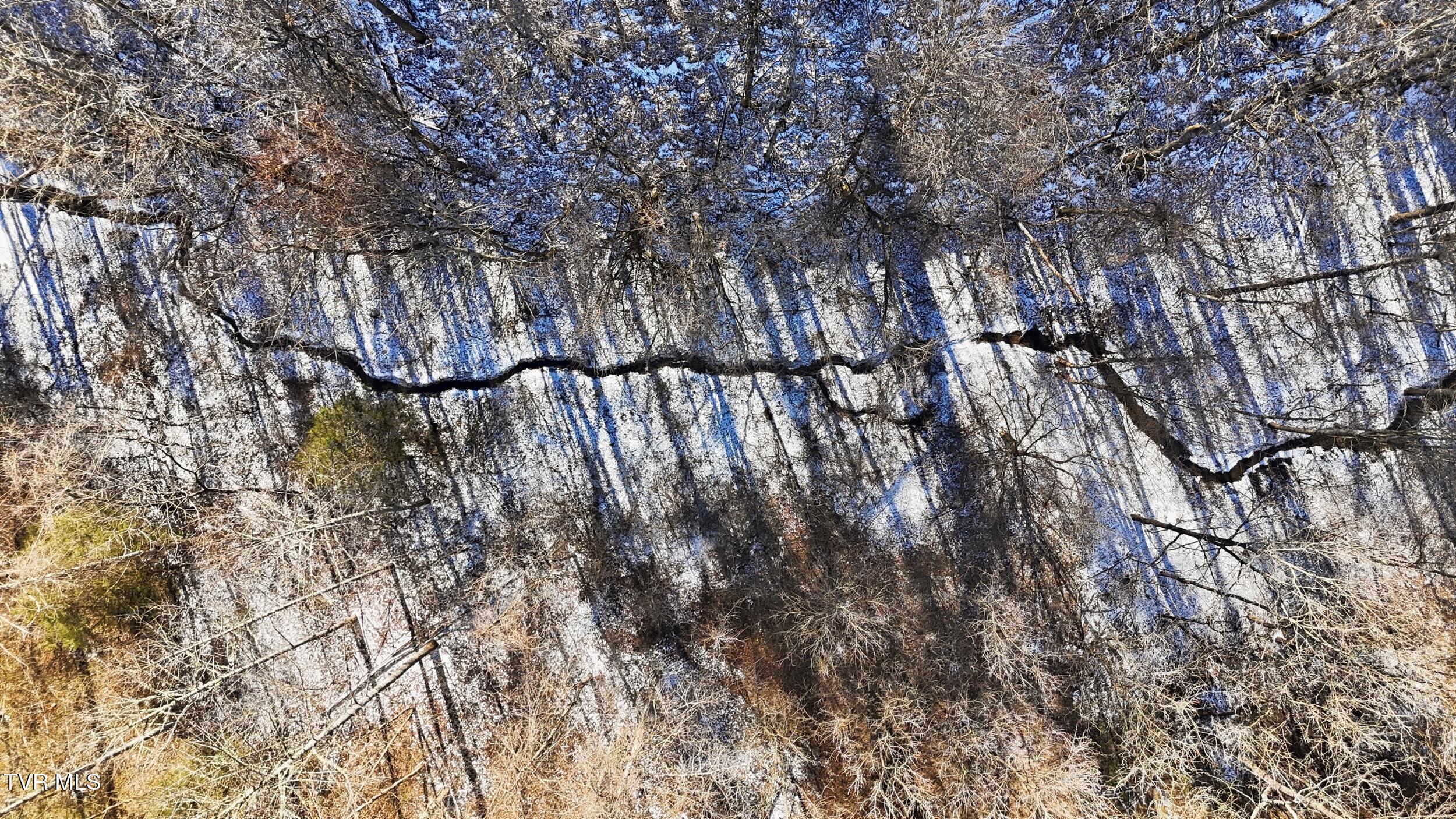 Tbd Hen Reasor Road Big Stone Gap, VA 24219 - Photo 12 of 16 14_dji_20260207131053_0876_d