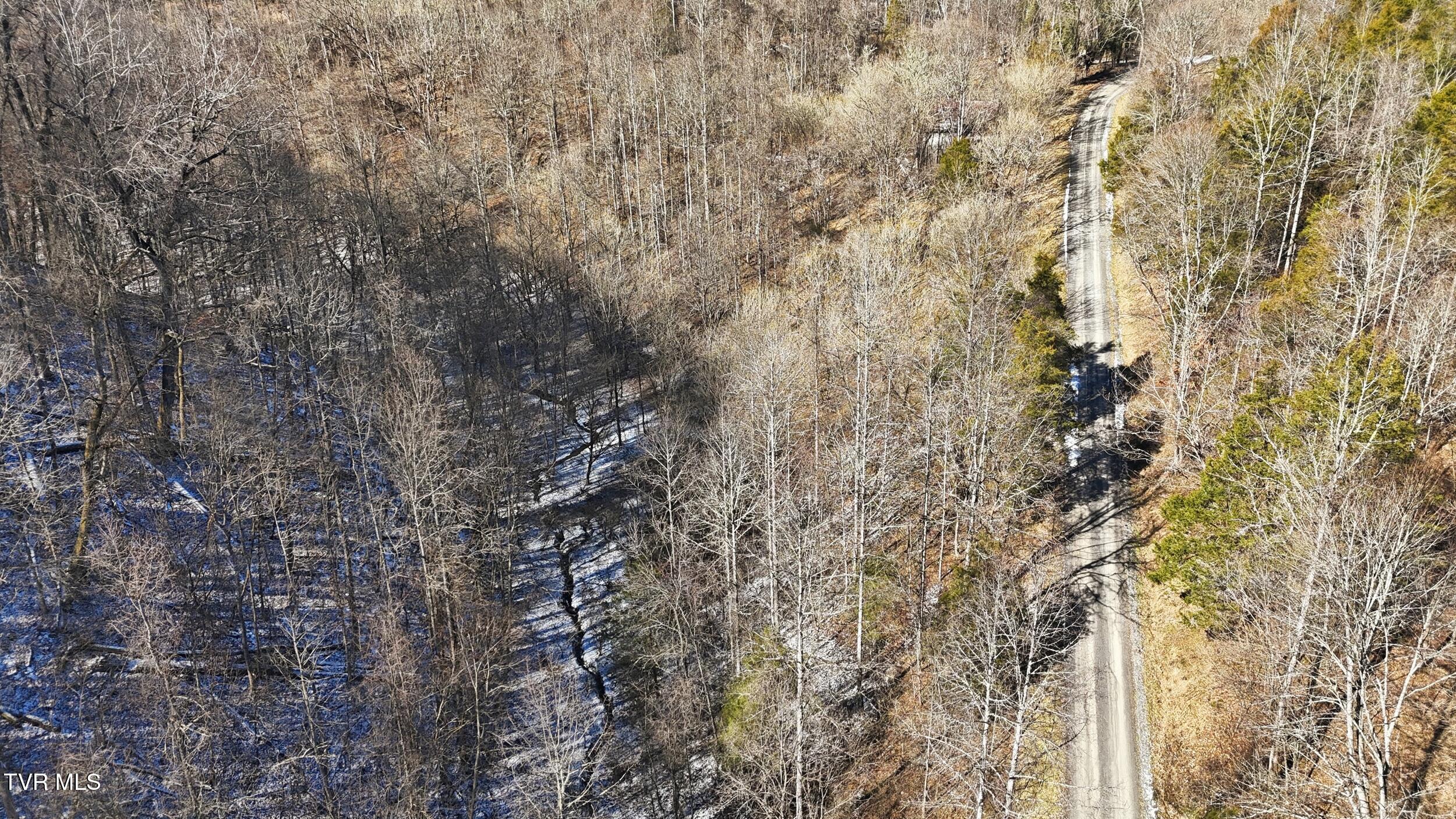 Tbd Hen Reasor Road Big Stone Gap, VA 24219 - Photo 13 of 16 15_dji_20260207131120_0877_d