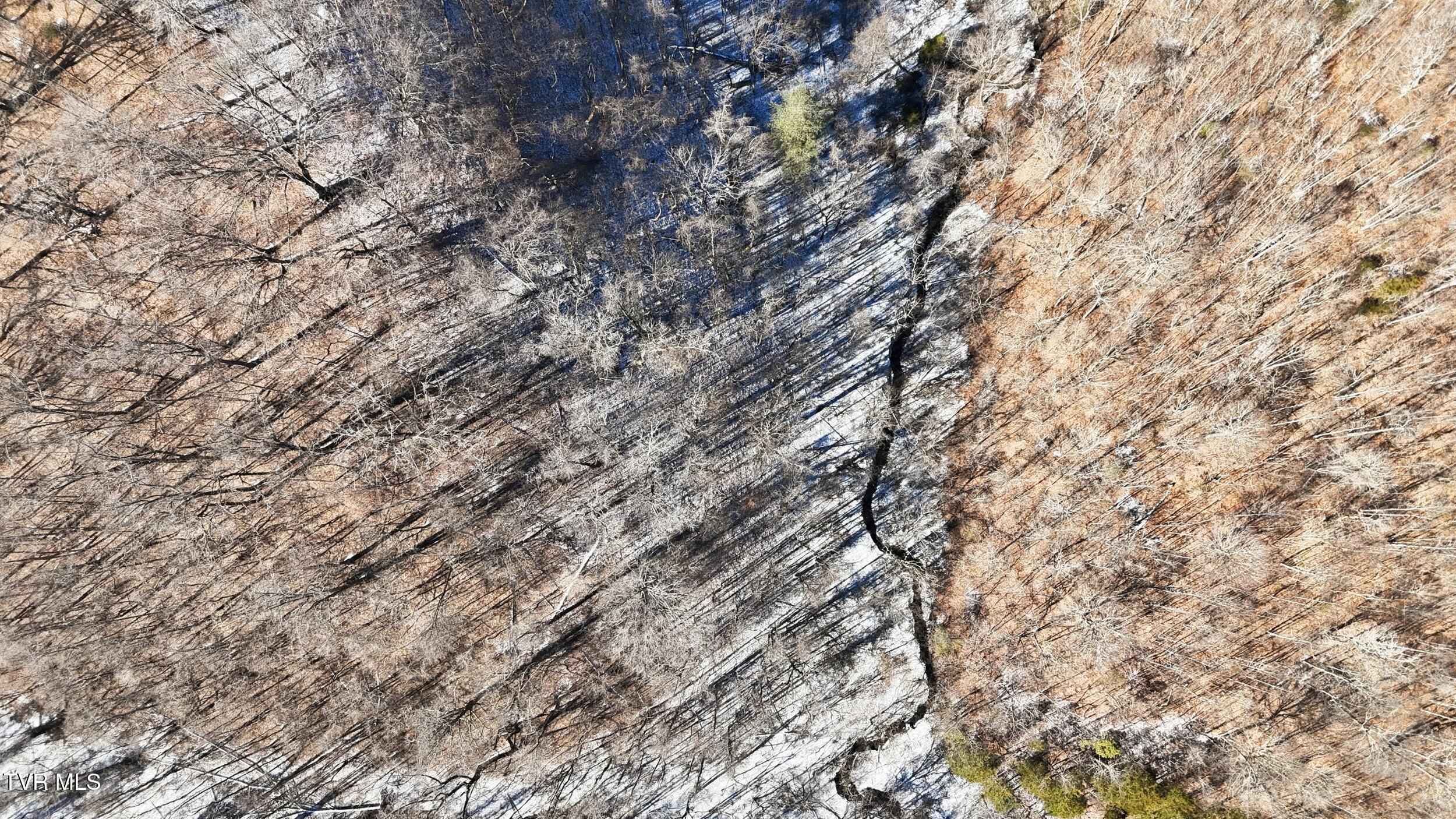 Tbd Hen Reasor Road Big Stone Gap, VA 24219 - Photo 3 of 16 5_dji_20260207130124_0865_d